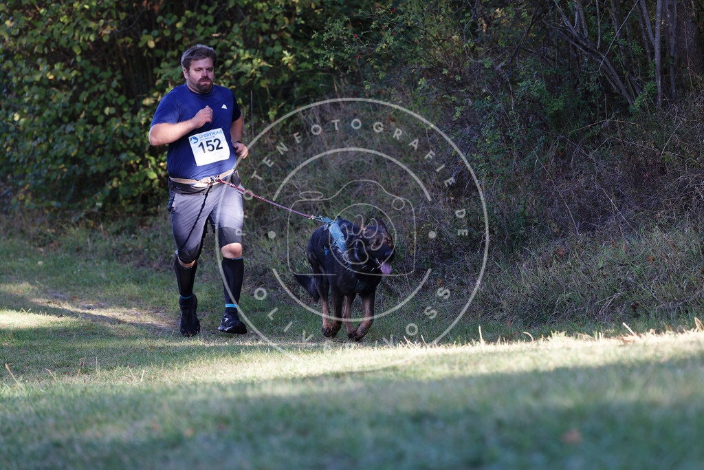 0L8A5044 | Hundefotografie, Tierfotograf, Pfotenfotografie, Fotoshooting Hund, Hunde Portrait, Hundesport, Hundeportraits, Heideshooting, Hunde, Sportfotograf, Hundefotograf, Turnierhundsport, THS,  - Realisiert mit Pictrs.com