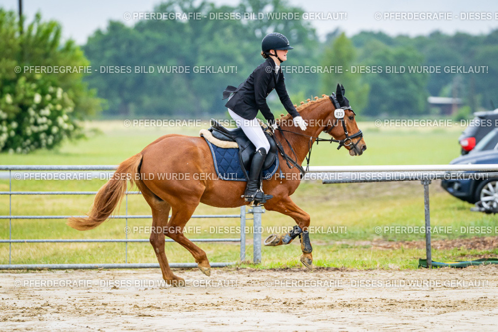 DSC02718 | Pferdegrafie