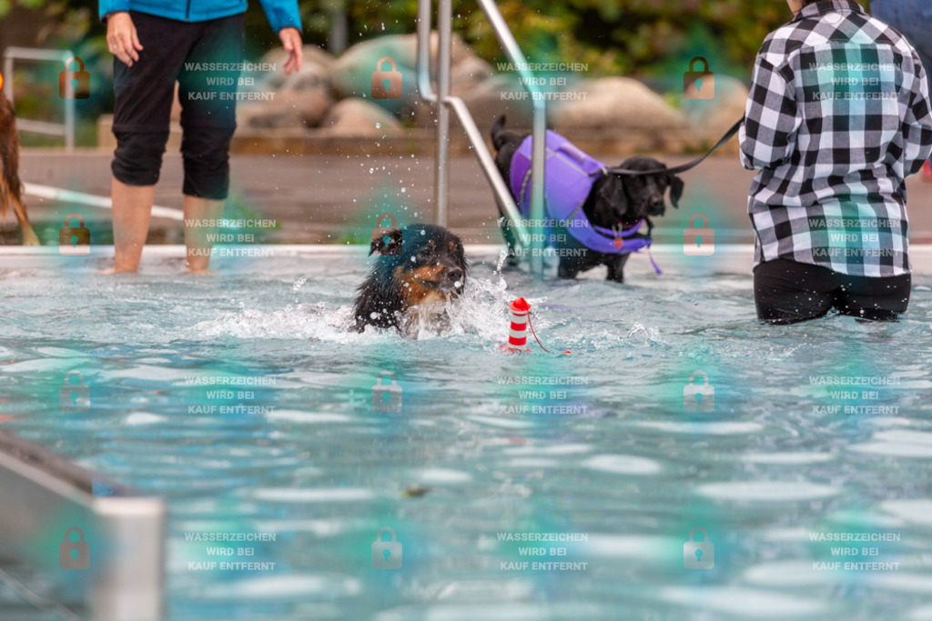 _HP_6288_1000o | HetPix, HetPix Fotodesign, Fotografie, Fotodesign, Webshop, Sportfotografie, Portraitfotografie, Onlineshop, Sportfotografie, Polch, Motorsportfotografie, Eventfotografie