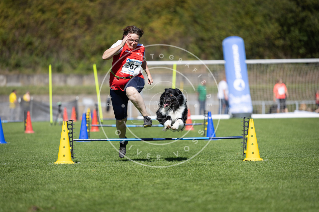 Pfotenfotografie_DV3A6724 | Hundefotografie, Tierfotograf, Pfotenfotografie, Fotoshooting Hund, Hunde Portrait, Hundesport, Hundeportraits, Heideshooting, Hunde, Sportfotograf, Hundefotograf, Turnierhundsport, THS,  - Realisiert mit Pictrs.com