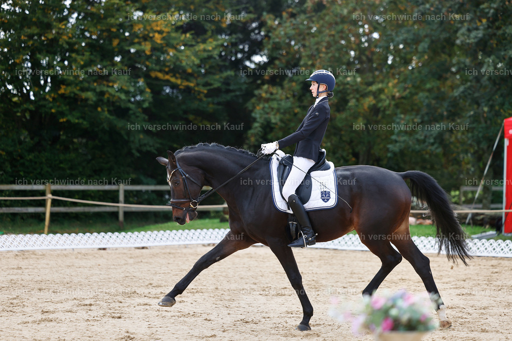 02-236-DRESSUR L_  -StoibPH-4725 | working equitationturnier fotograf videograf stoibphotography marixx film working equitation deutschland reitsport turnierfotografie eventfotografie equestrian events