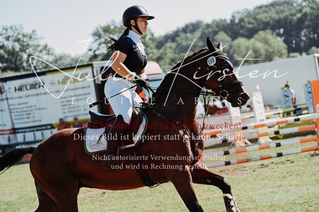 DSC_5702 | Pferde- und Turnierfotografie in Westsachsen. Pferdeportraits, Auftragszeichnungen und intuitive Kunst.