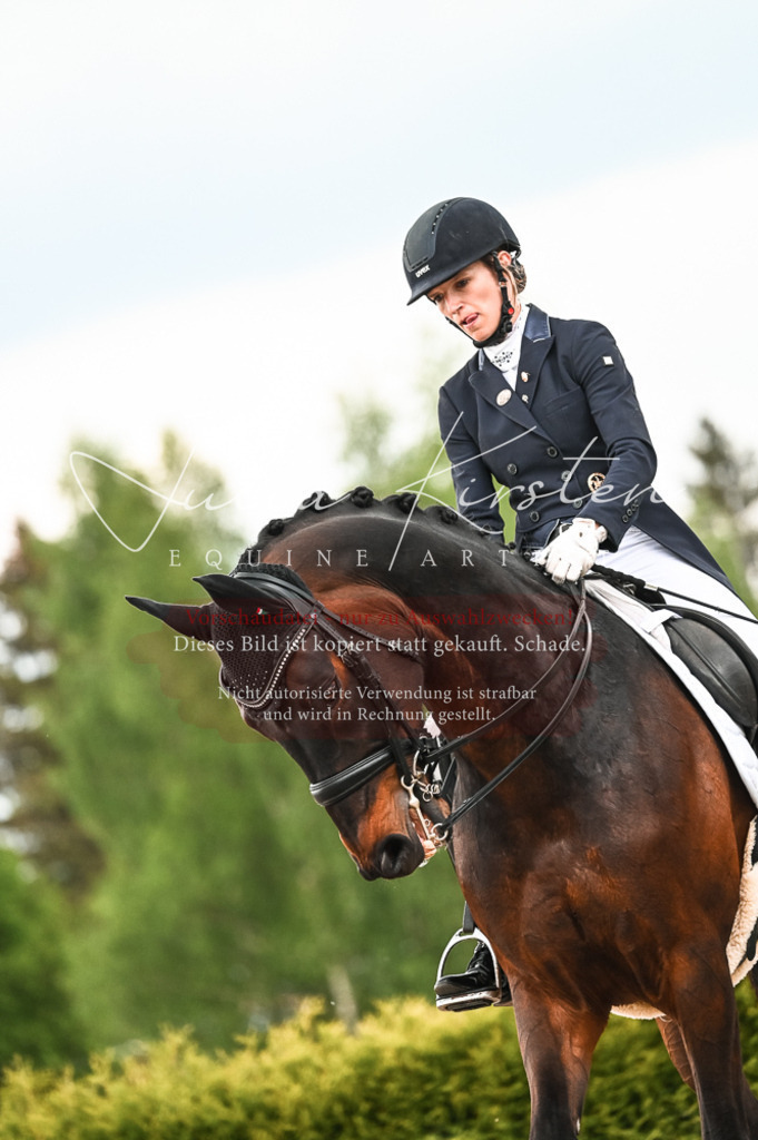 20230514_JK-Röhrsdorf-21-320 | Pferde- und Turnierfotografie in Westsachsen. Pferdeportraits, Auftragszeichnungen und intuitive Kunst.