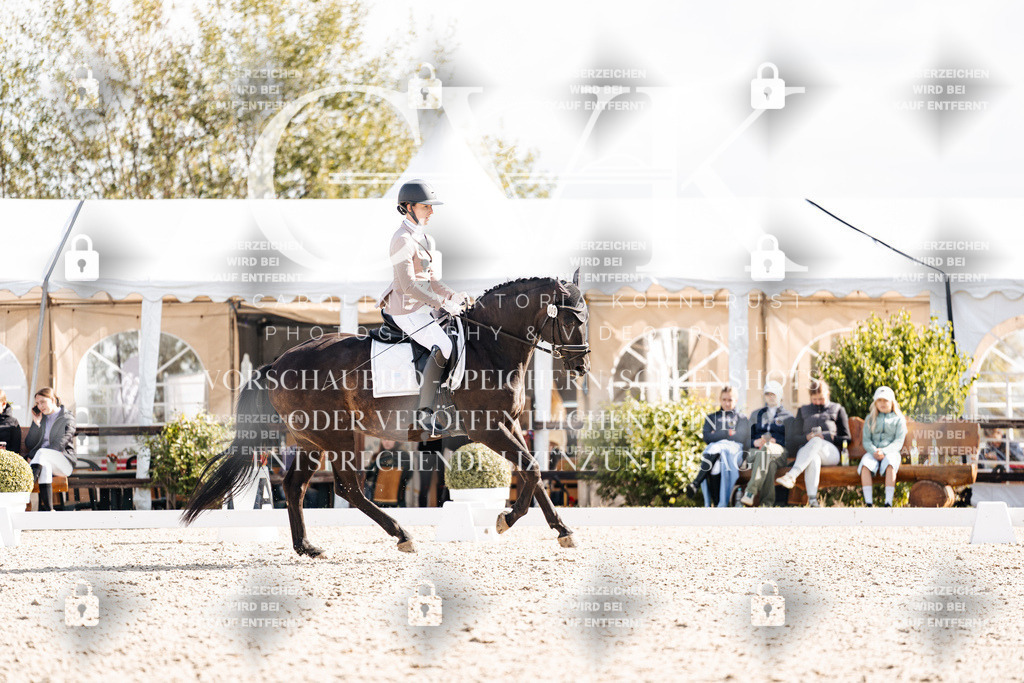 CK901962 | Turnierfotografie Pferdefotografie Trier Rheinland-Pfalz Pferdesport Reitsport Tierfotografie Sportfotografie Pferdevideo Pferdevideografie Equestrianvideography equestrianphotography  - Realisiert mit Pictrs.com