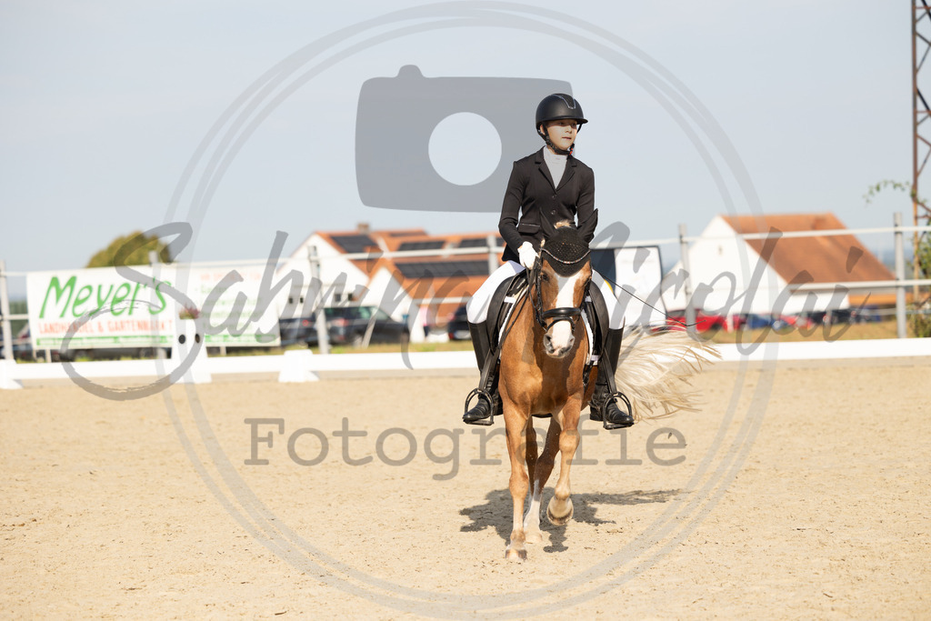 994A1264 | sabrinanicolaifotografie - Realisiert mit Pictrs.com