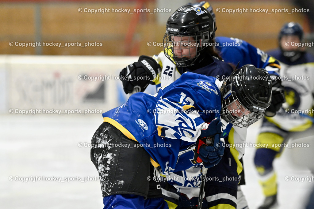 Wildcats Paternion vs. Lady Hawks  | #13 Arzuhaldzic Adela LADY HAWKS, #22 Oberrauner Franziska WILDCATS PATERNION, Wildcats Paternion vs. Lady Hawks , Wildcats Paternion vs. Lady Hawks  am 27.01.2025 in Spittal an der Drau (Eissportzentrum Spittal), Austria, (Photo by Bernd Stefan)