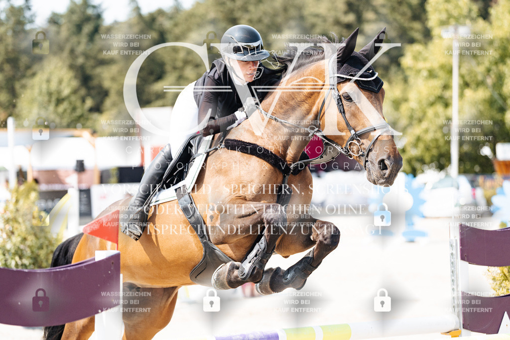 CK901751 | Turnierfotografie Pferdefotografie Trier Rheinland-Pfalz Pferdesport Reitsport Tierfotografie Sportfotografie Pferdevideo Pferdevideografie Equestrianvideography equestrianphotography  - Realisiert mit Pictrs.com