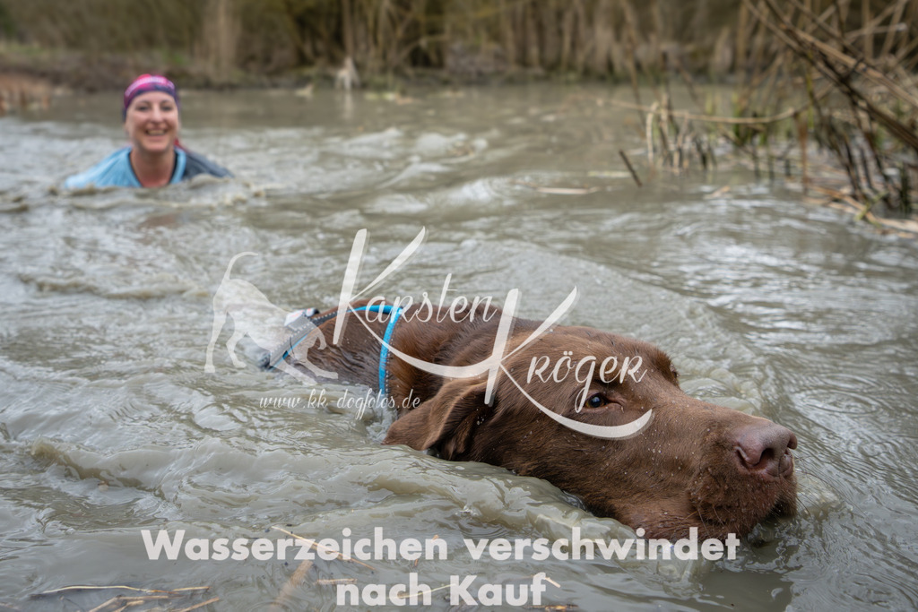 1341_ZZ91652 | kk-dogfotos