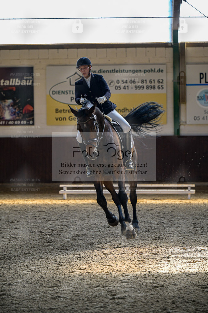 Reitturnier Voxtrup | Entdecke hochwertige Reitturnierfotos von Foto Oger. Professionell, emotional und authentisch – jetzt Lieblingsmomente im Shop bestellen. - Realisiert mit Pictrs.com