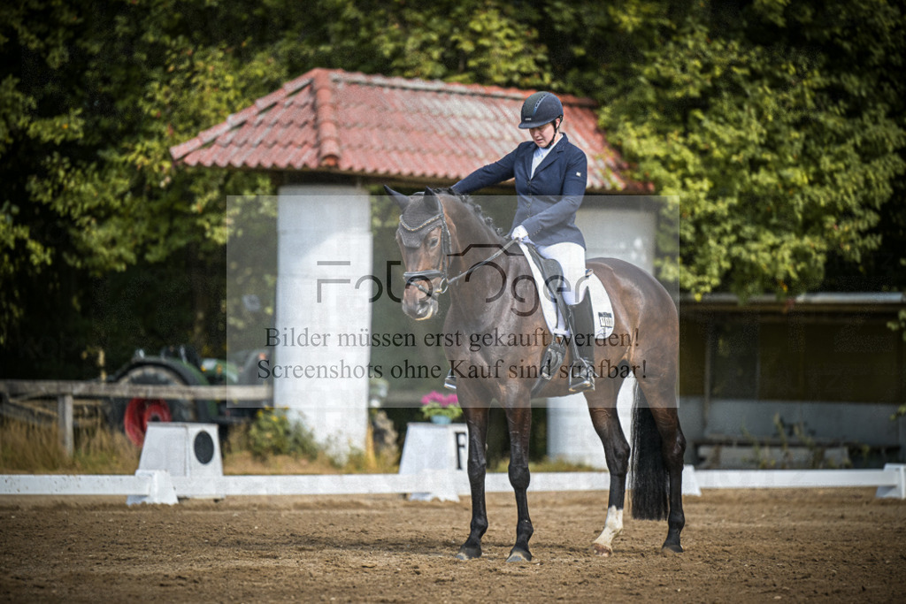DOS_4222 | Entdecke hochwertige Reitturnierfotos von Foto Oger. Professionell, emotional und authentisch – jetzt Lieblingsmomente im Shop bestellen.Deutschlandweite Turnierfotografie. - Realisiert mit Pictrs.com