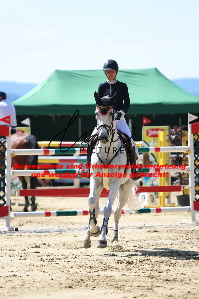 IMG_2852 | lmwpictures - Realisiert mit Pictrs.com