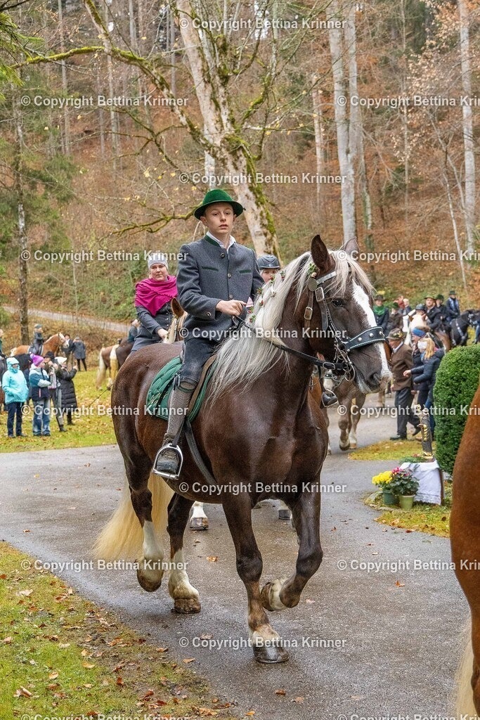 LL25-222 | foto-bettina-krinner - Realisiert mit Pictrs.com