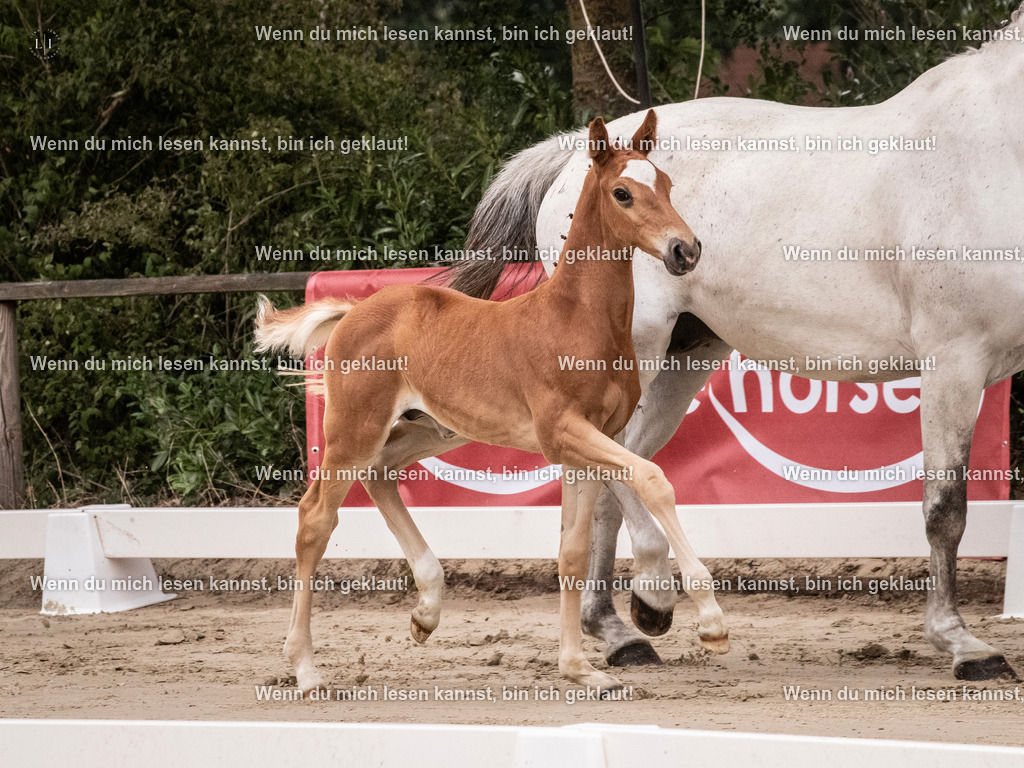 A10I9476 | photographylinaismer - Realisiert mit Pictrs.com