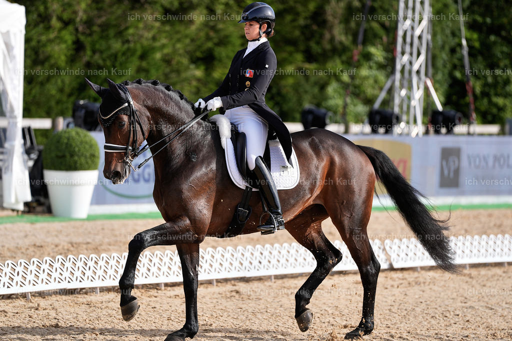 13-110-S___ -StoibPH-6939 | working equitationturnier fotograf videograf stoibphotography marixx film working equitation deutschland reitsport turnierfotografie eventfotografie equestrian events
