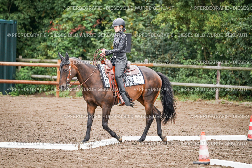 DSC03169 | Pferdegrafie