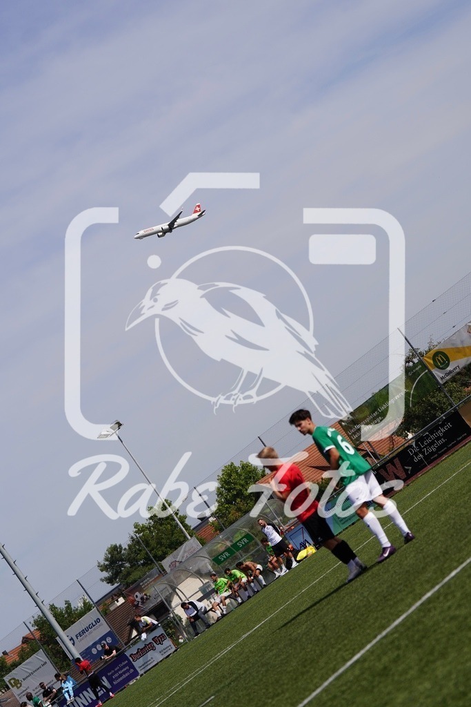 SON07906 | rabefotos