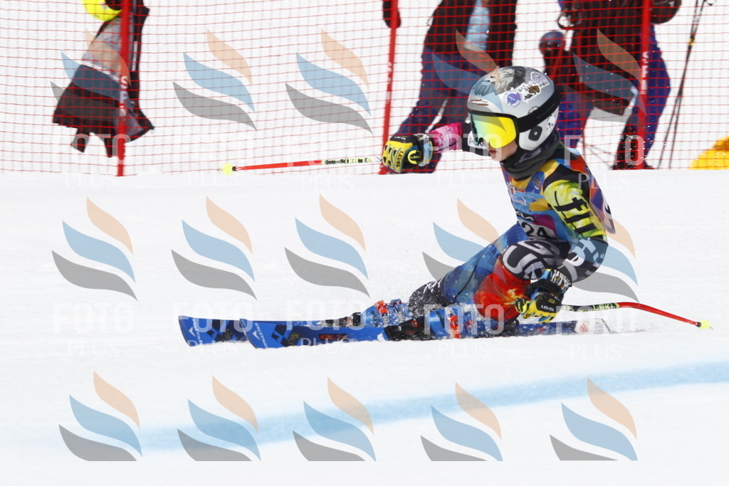 _U3G5794 | holidayphoto