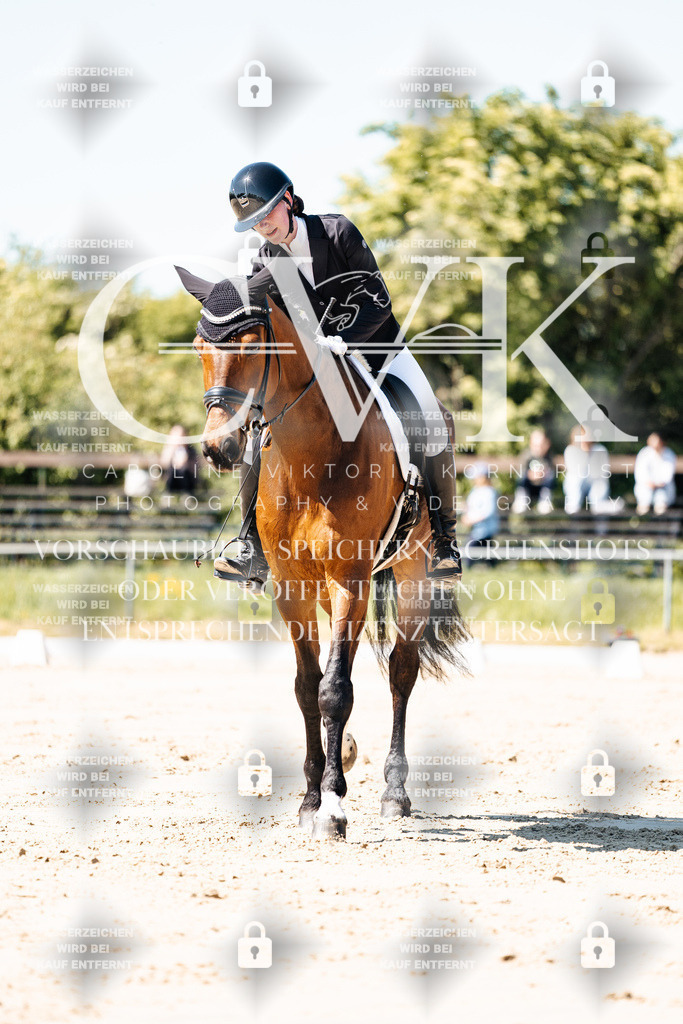 CK905256 | Turnierfotografie Pferdefotografie Trier Rheinland-Pfalz Pferdesport Reitsport Tierfotografie Sportfotografie Pferdevideo Pferdevideografie Equestrianvideography equestrianphotography  - Realisiert mit Pictrs.com