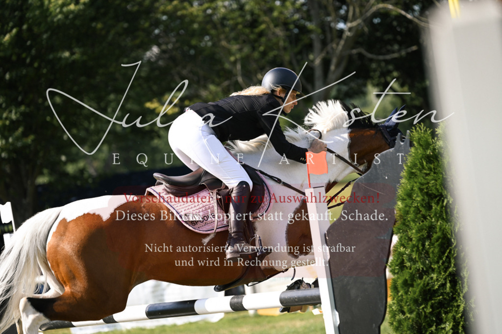 DSC_1109 | Pferde- und Turnierfotografie in Westsachsen. Pferdeportraits, Auftragszeichnungen und intuitive Kunst.