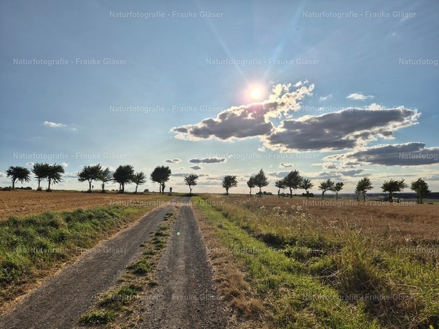F.Gläser_185159 | Naturfotografie Frauke Gläser - Realisiert mit Pictrs.com