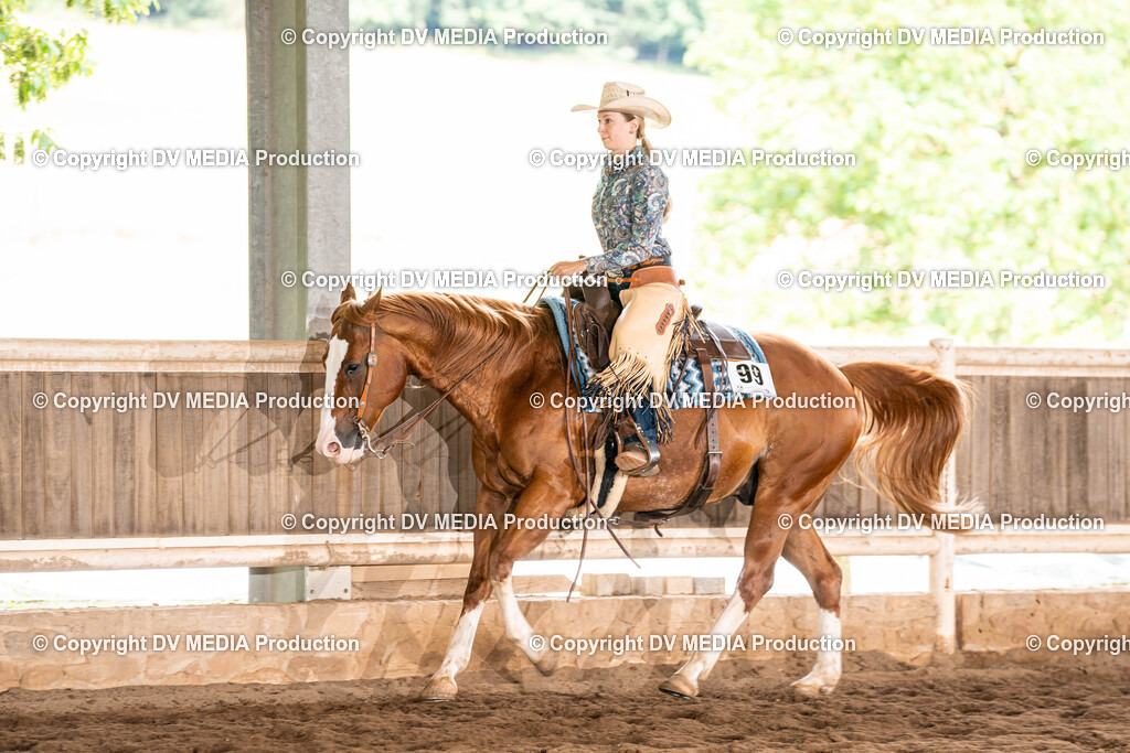 Erbach Tag 1-718 | dv-media-shop - Realisiert mit Pictrs.com