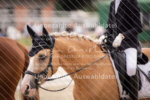 SD_OED_07496 | saradresslerfotografie - Realisiert mit Pictrs.com