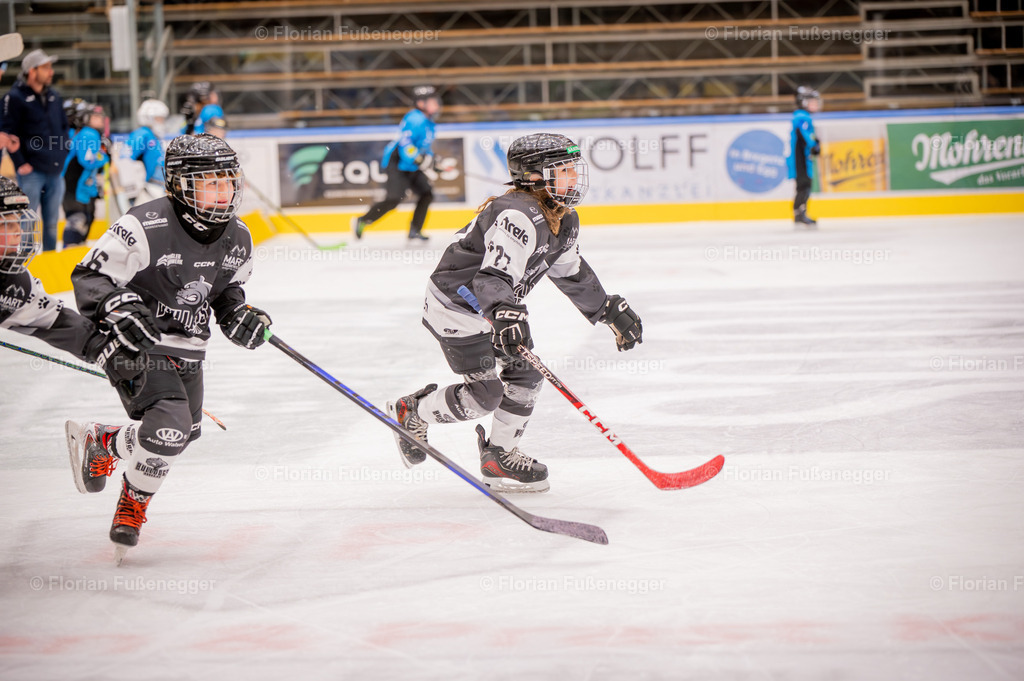 DSC_3137 | "Fussifoto.com – Ihr Ansprechpartner für hochwertige Fotografie! Entdecken Sie kreative Bilder und professionelle Dienstleistungen. Kontaktieren Sie uns für Ihre Projekte!"