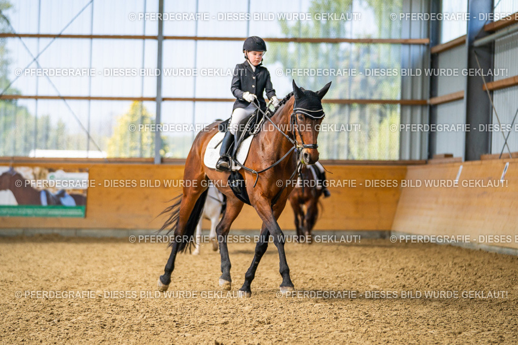 DSC02502 | Pferdegrafie