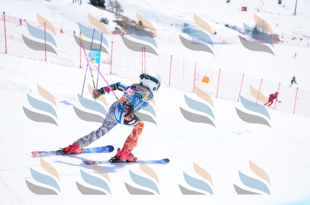 DSC_5247 | holidayphoto