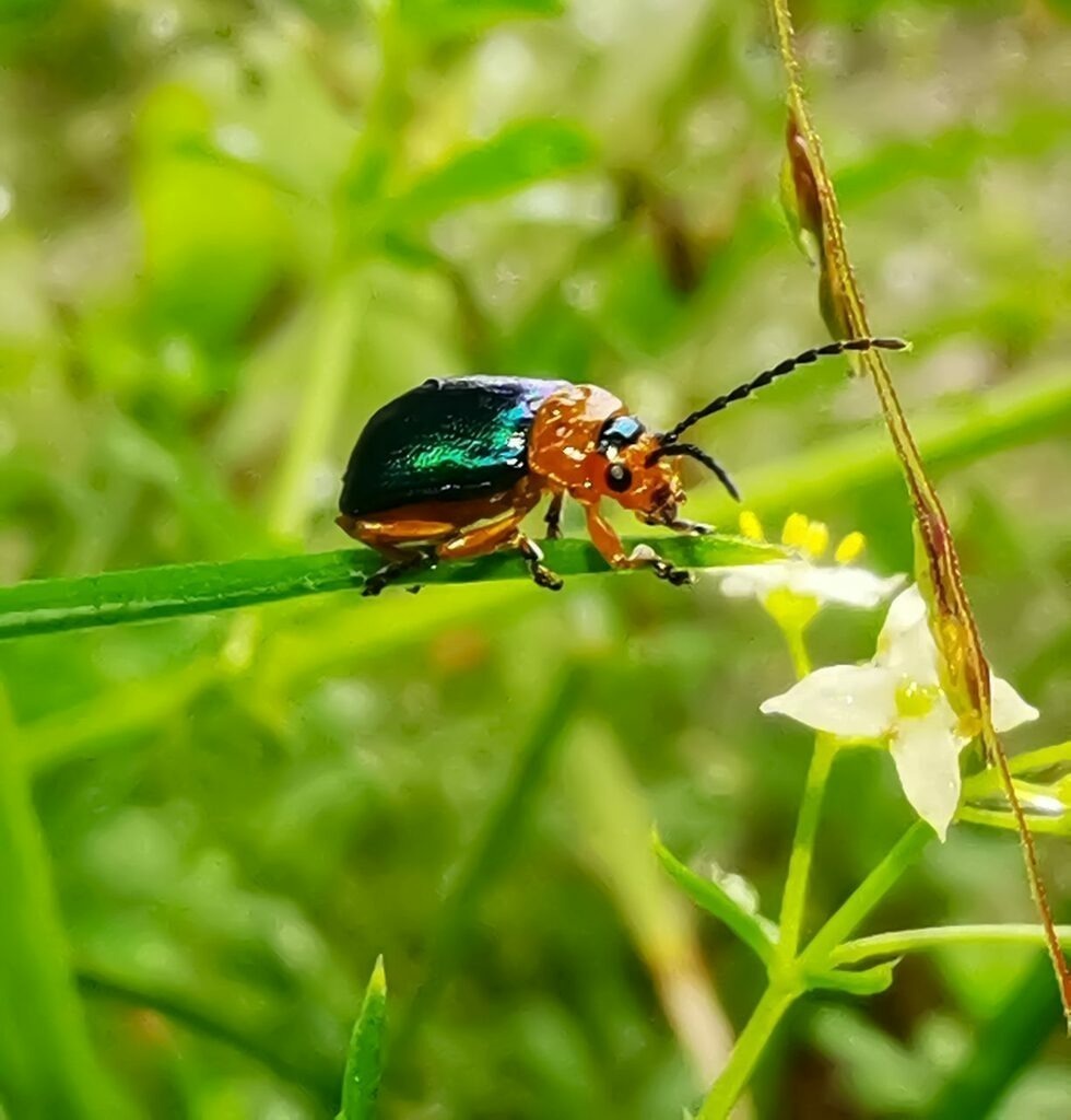 PSX_20220901_231121 | mtkfoto_ - Realisiert mit Pictrs.com