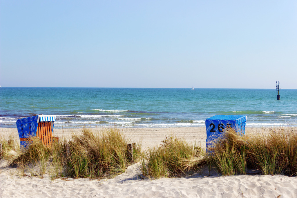 Wandbild: Strandhafer und Strandkörbe am Strand in Damp | Dieses Wandbild im Querformat zeigt Strandhafer an einem Sandfang in Damp am Strand. Hinter dem Strandhafer befinden sich zwei blaue Strandkörbe. Der blaue Himmel ist wolkenlos. - Realisiert mit Pictrs.com