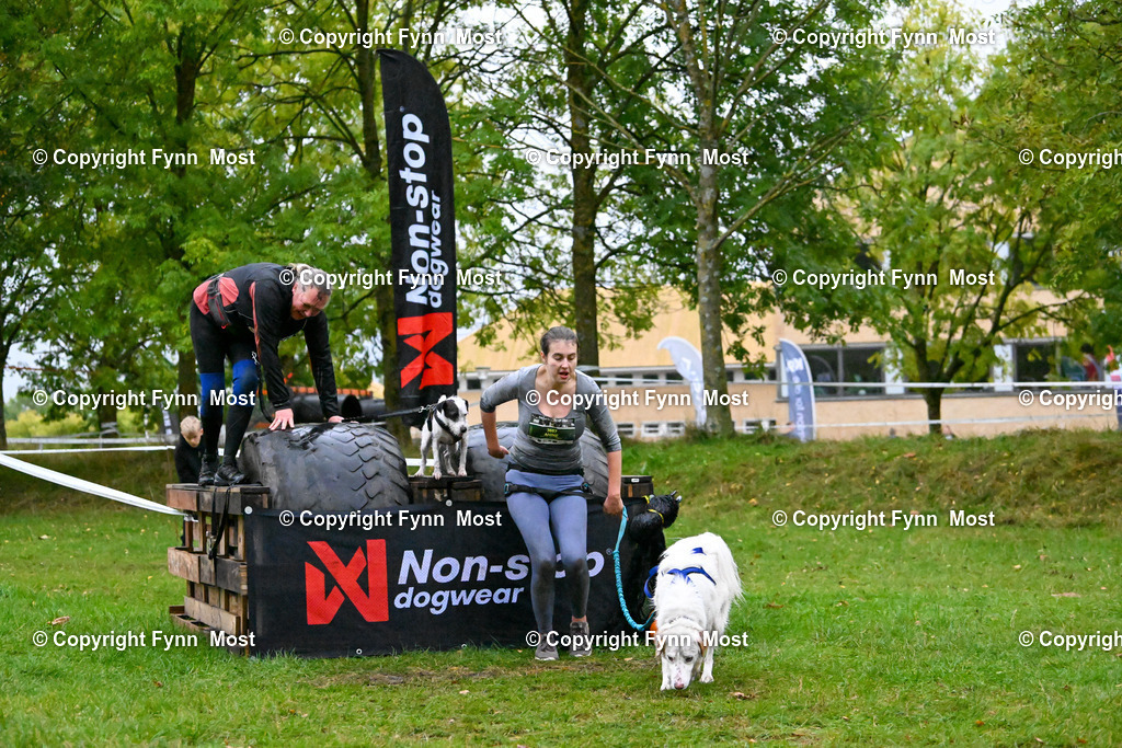 DSC_2426 | Hallo und herzlich Willkommen auf meiner Shop-Seite Fynn Most.

Ich wünsche Dir viel Spaß beim stöbern durch die Bilder, wenn Du Fragen hast oder Bilder vermisst, kannst du mir gerne eine Nachricht schreiben. - Realized with Pictrs.com