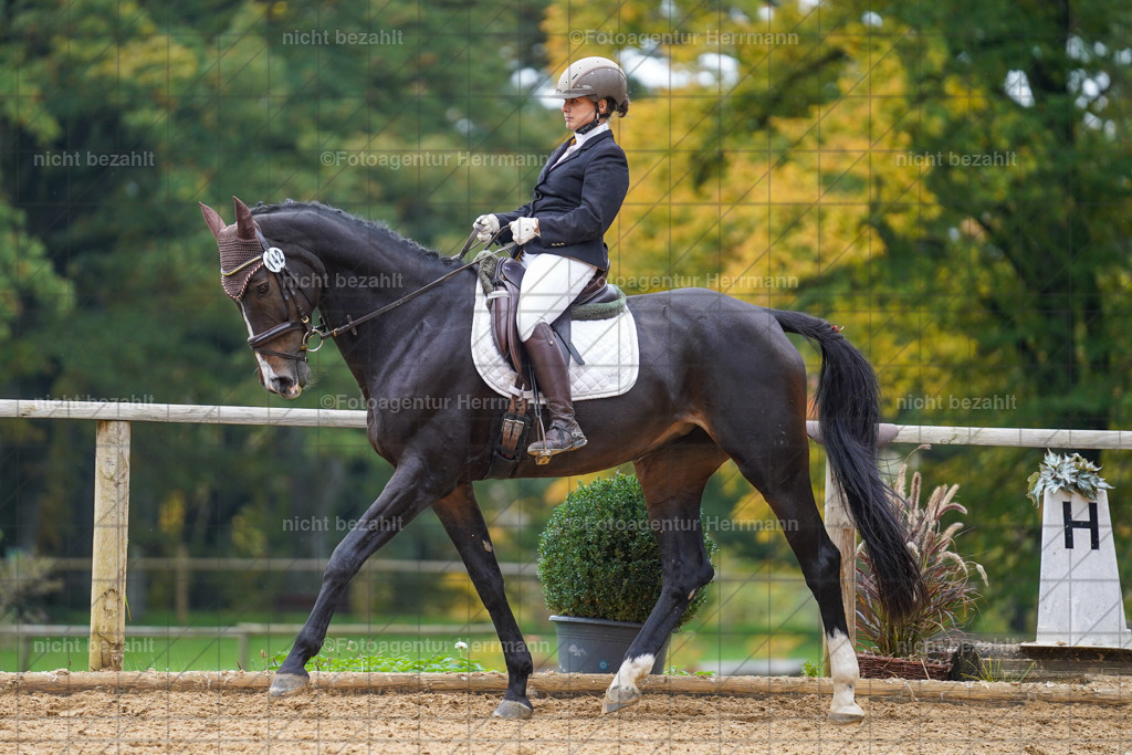 20221008-FAH01683 | Diessen am Ammersee, 2022, Dressur- und Springturnier, Reitsportbilder, Turnierfotografen Bayern, Pferdefotografen, Fotoagentur Herrmann, Turnierbilder