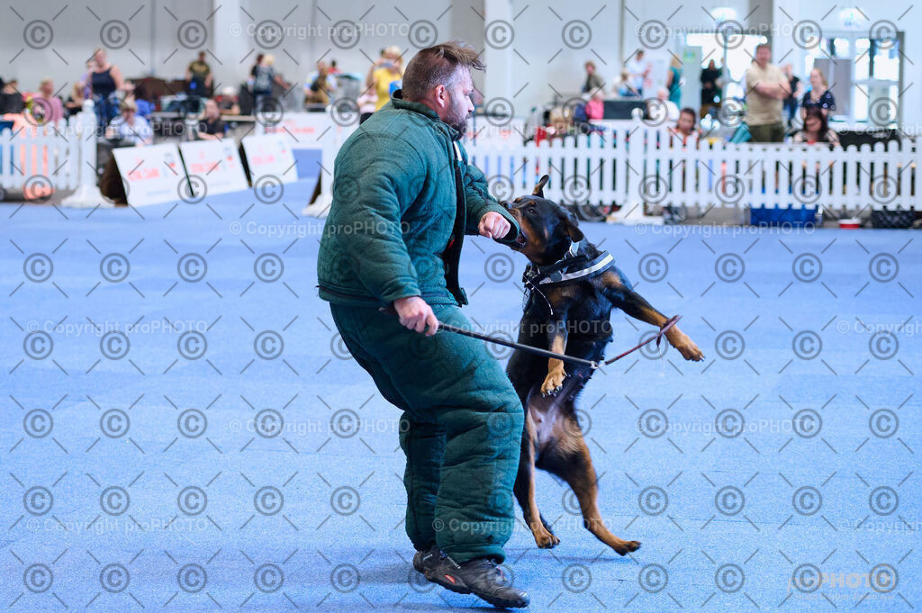 202406_ÖKV-IHA-Tulln24_DSC_2765 | proPHOTO - Realisiert mit Pictrs.com