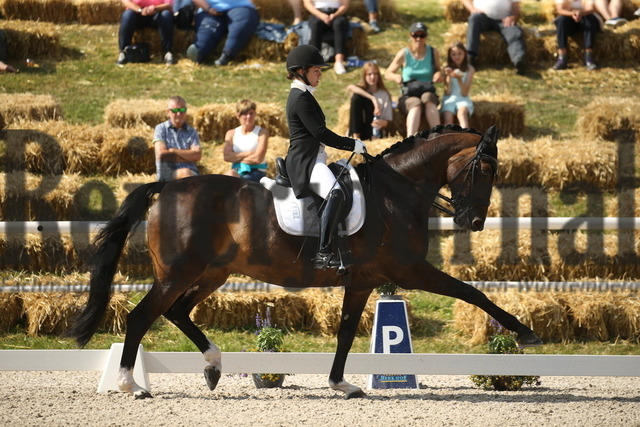 Birkhof_2022_GrandPrixSpecial_Franziska Stieglmaier_DSP Dauphin (9) | Alle Fotos der Reiterjournal Fotografin Doris Matthaes im Reiterjournal Online-Fotoshop. - Realisiert mit Pictrs.com