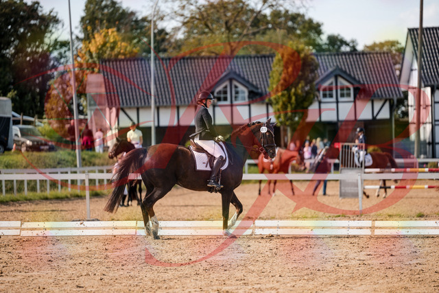 2026_10_03_Siefer-Hof_132307_Z63_84070663 | Professionelle Reitsport-, Turnier- und Eventfotografie von Robert Broda. Galerien mit ausgewählten und bearbeiteten Bildern direkt online ansehen und bestellen.