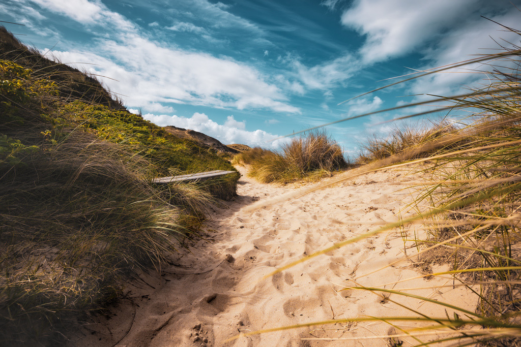 Sandiger Fußweg durch Dünenlandschaft auf Sylt,typischer Strandhafer | Das Bild zeigt scheinbar einen sandigen Fußweg durch eine Küsten- und Dünenlandschaft, wie er typisch für Regionen in und um Sylt ist.Dünenweg: Ein schmaler, von Schritten gezeichneter Pfad führt durch den Sand.Der Weg ist von typischem Strandhafer und niedrigen grünen Pflanzen gesäumt. - Realisiert mit Pictrs.com