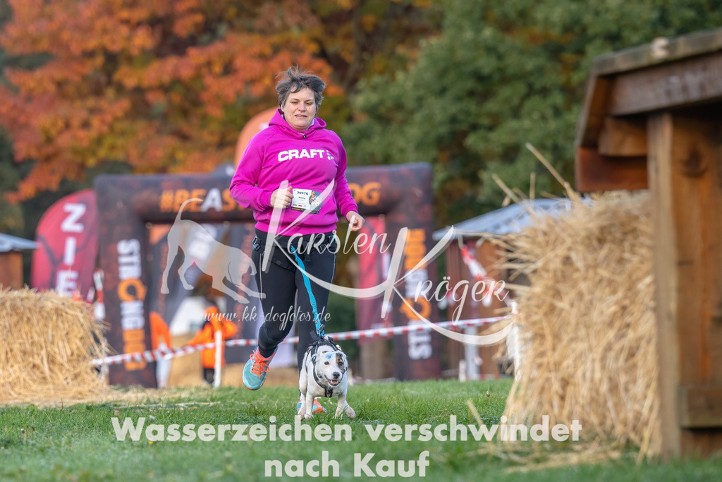 0857_ZZ91861-Bearbeitet | kk-dogfotos