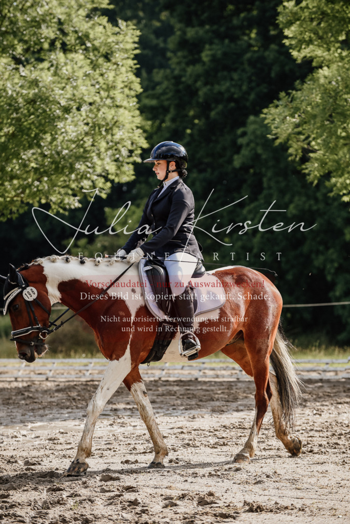 DSC_8712 | Pferde- und Turnierfotografie in Westsachsen. Pferdeportraits, Auftragszeichnungen und intuitive Kunst.