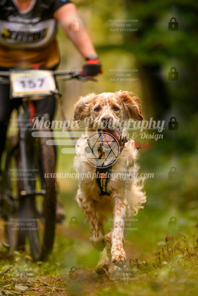 MompixPhotography_Yens2025_B2-147 | PayLife