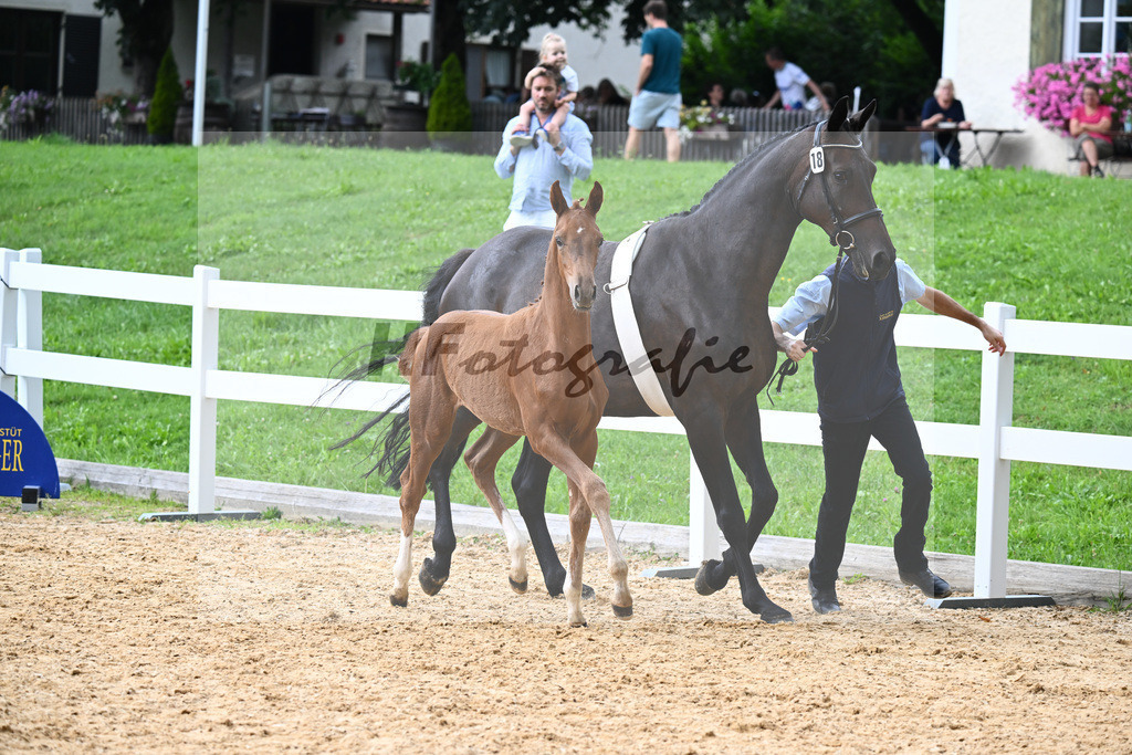 Kat-Nr. 18 Valenziano x Bossanova_HLG Schwaiganger_27140614 | hf-fotografie - Realisiert mit Pictrs.com