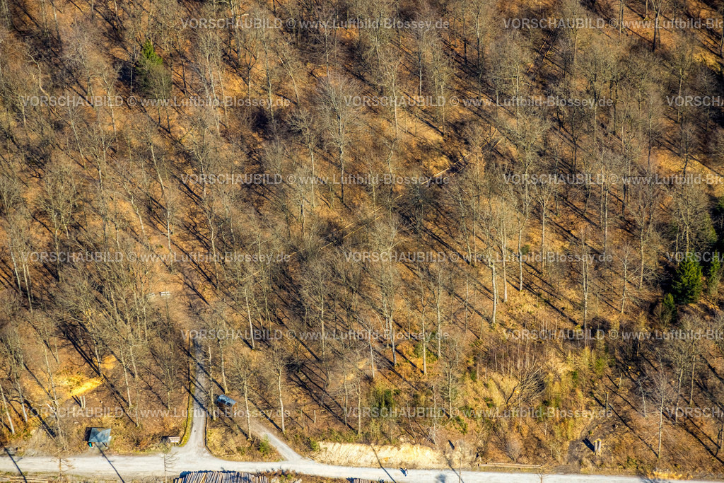 Moehnesee220301607 | Luftbild, Friedwald, Waldfriedhof, Halbinsel im Möhnesee, Waldsterben, Rodungen,   Delecke, Möhnesee, Sauerland, Nordrhein-Westfalen, Deutschland