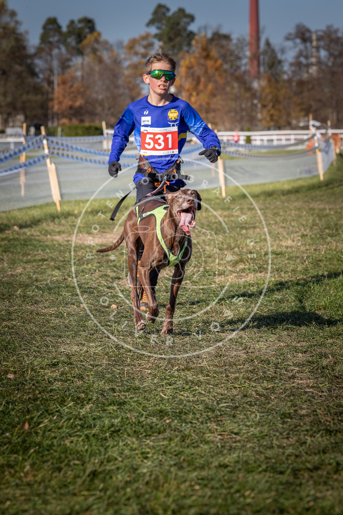 CaniXpix_0L8A7382 | Hundefotografie, Tierfotograf, Pfotenfotografie, Fotoshooting Hund, Hunde Portrait, Hundesport, Hundeportraits, Heideshooting, Hunde, Sportfotograf, Hundefotograf, Turnierhundsport, THS,  - Realisiert mit Pictrs.com