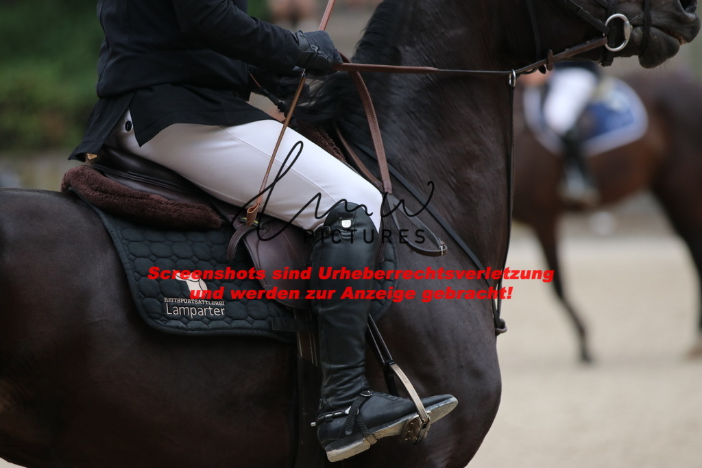 IMG_2879 | lmwpictures - Realisiert mit Pictrs.com