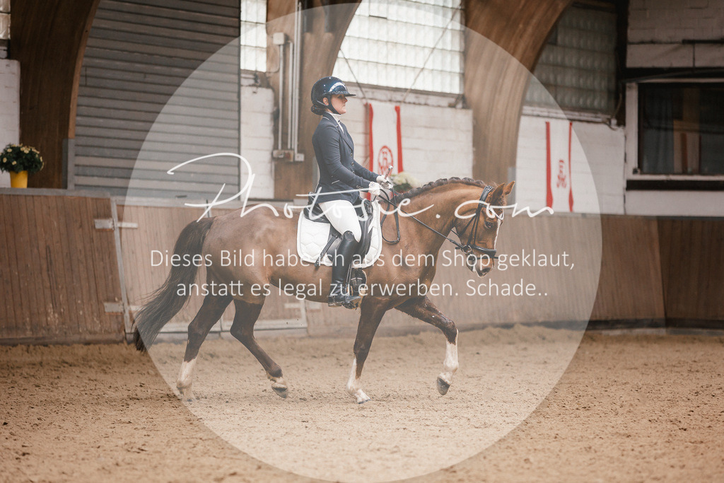 3I6A7391 | Stimmungsvolle Portraits und Reitsportfotografie im Ruhrgebiet und im Münsterland.

Pferdefotografie, Hundefotografie, Tierfotografie, Reportagen, Portraits von Tier und Mensch, Turnierfotografie in Bochum, Recklinghausen, Marl, Haltern am See, Dülmen.. - Realisiert mit Pictrs.com