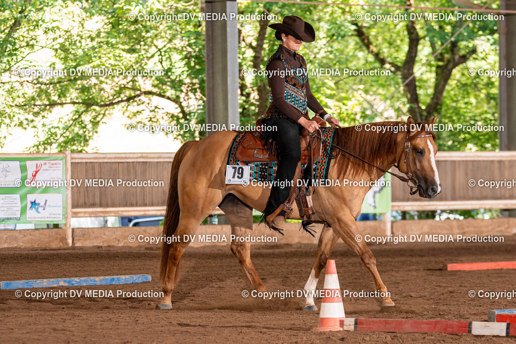 Erbach Tag 2-669 | dv-media-shop - Realisiert mit Pictrs.com