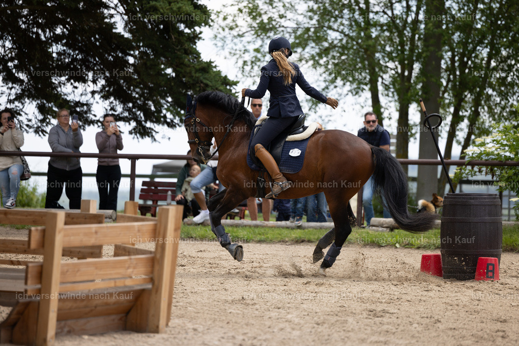 Masterclass_stoibphotography_C2_C8560.CR3 | working equitationturnier fotograf videograf stoibphotography marixx film working equitation deutschland reitsport turnierfotografie eventfotografie equestrian events