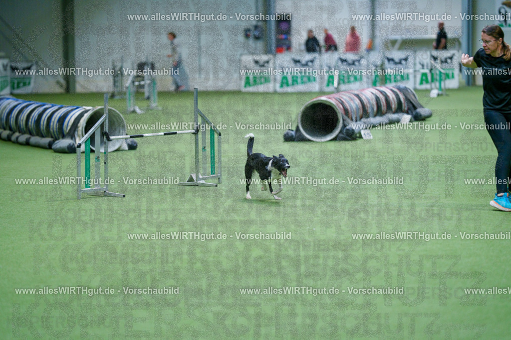 @allesWIRTHgut_Tierfotografie - www.allesWIRTHgut.de - 2604250951-7R509167 | Professionelle Tierfotografie in Mönchengladbach von Daniel Wirth (allesWIRTHgut). Liebevolle & natürliche Bilder von Hunden & Katzen für unvergessliche Erinnerungen.
