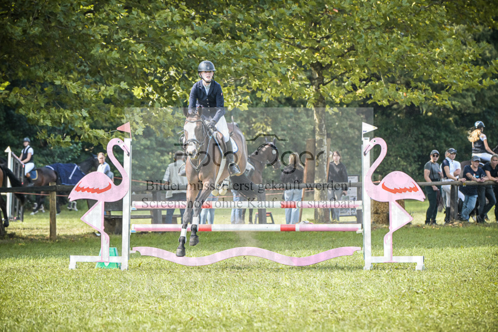 DOS_0064 | Entdecke hochwertige Reitturnierfotos von Foto Oger. Professionell, emotional und authentisch – jetzt Lieblingsmomente im Shop bestellen.Deutschlandweite Turnierfotografie. - Realisiert mit Pictrs.com