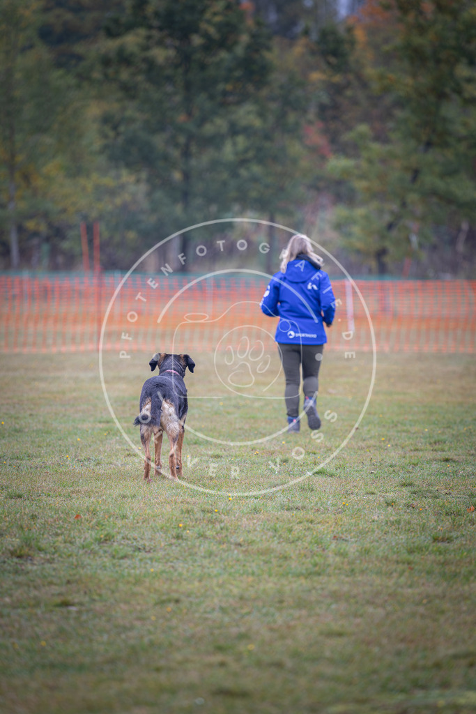 Pfotenfotografie_DV3A9590 | Hundefotografie, Tierfotograf, Pfotenfotografie, Fotoshooting Hund, Hunde Portrait, Hundesport, Hundeportraits, Heideshooting, Hunde, Sportfotograf, Hundefotograf, Turnierhundsport, THS,  - Realisiert mit Pictrs.com